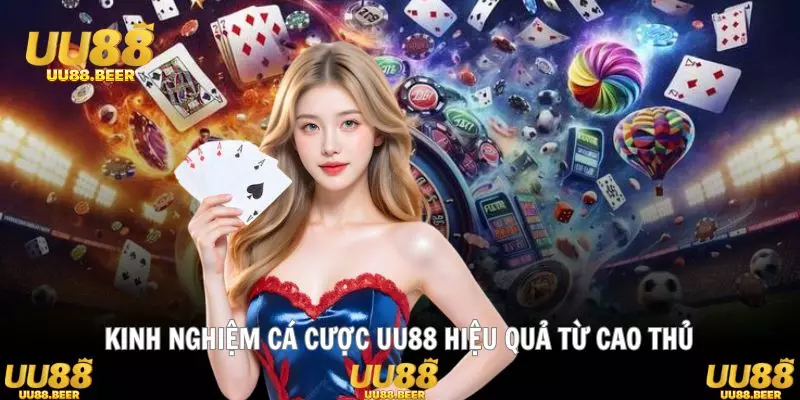 Chắt lọc tinh hoa từ các cao thủ kinh nghiệm dày dạn